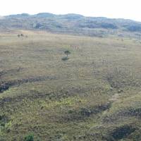 img_0306 copy